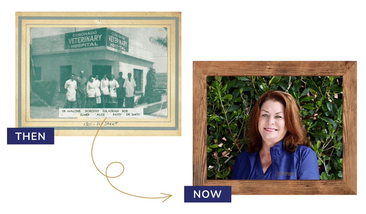 Coronado Veterinary Hospital Then And Now Coronado Veterinary Hospital Then And Now