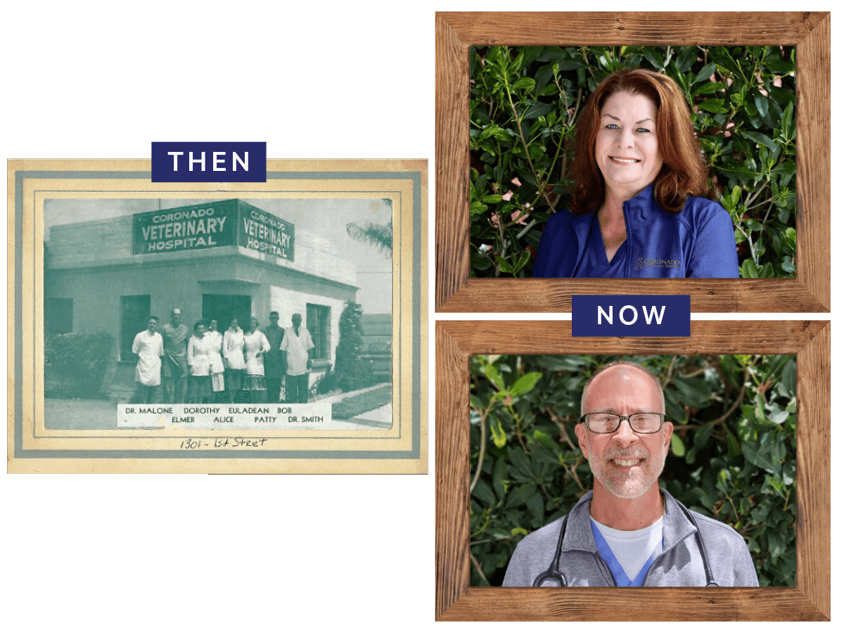 Then picture from when the practice initially opened to now with the new owner and her associate veterinarian