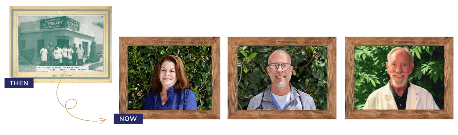 Coronado Veterinary Hospital Then And Now Small